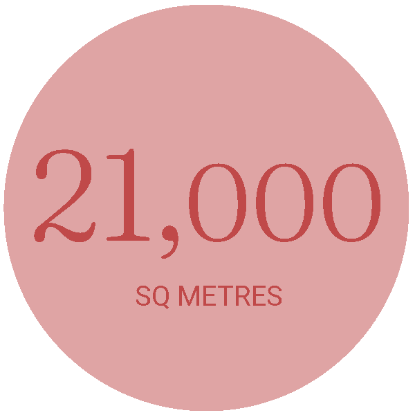 21000